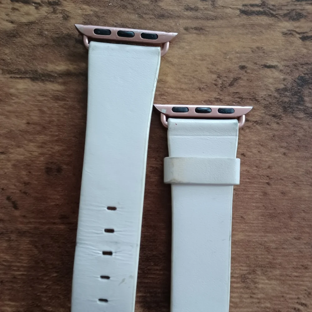 Apple designer watch band